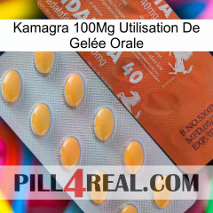 Kamagra 100Mg Utilisation De Gelée Orale 43